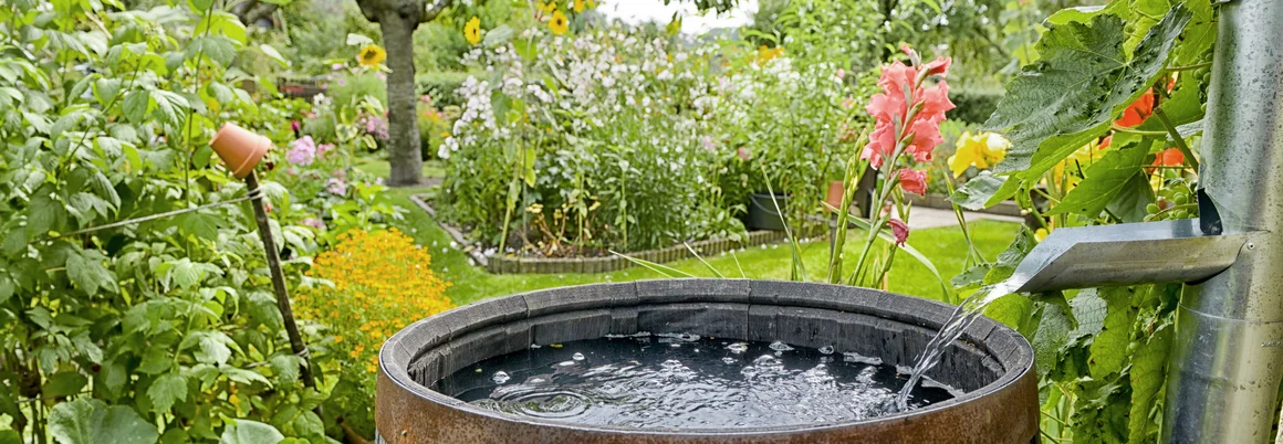 Wasser fließt aus einem Fallrohr in eine hölzerne Regentonne im Garten.